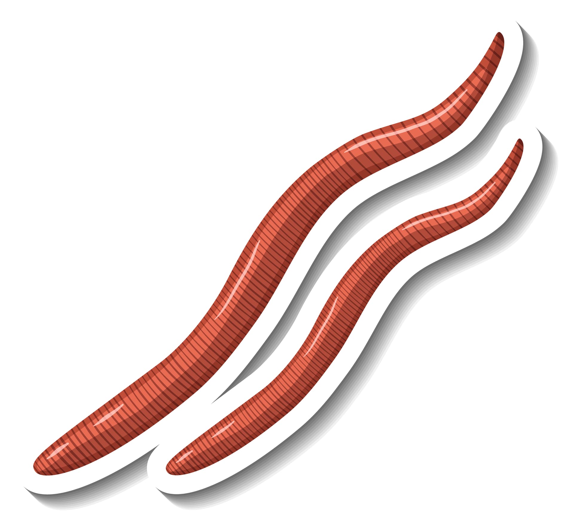 العلق الطبي - العلاج الطبيعي المتقدم